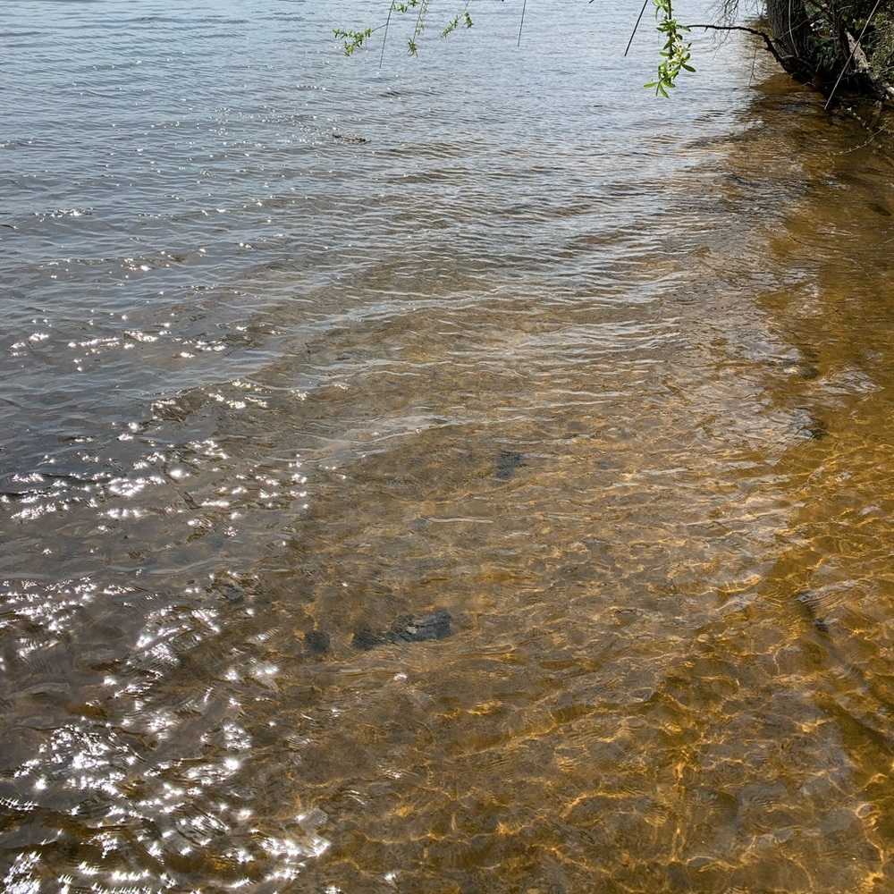 Meet your Posher, Shawna